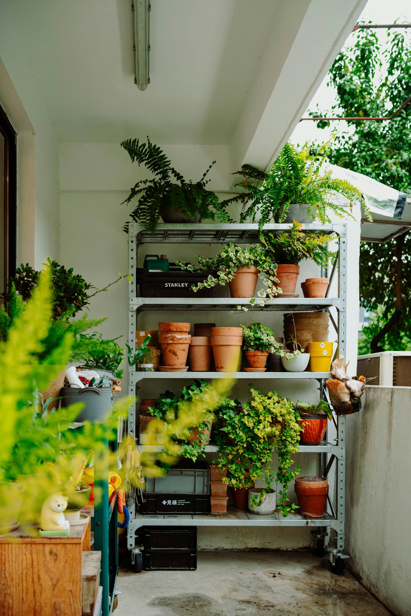 25 Plants for Instant Curb Appeal in Front of Your House